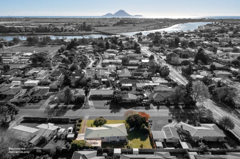 Kiwi Quarter Acre