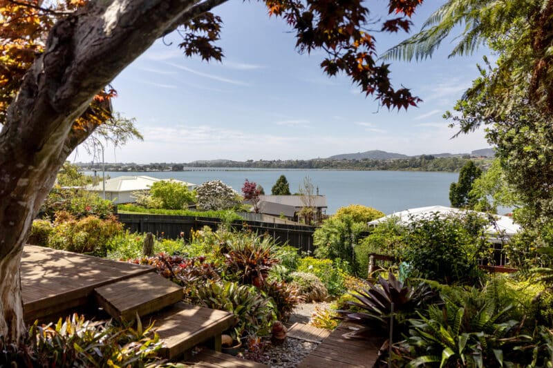 Room to Breathe, Space to Belong.