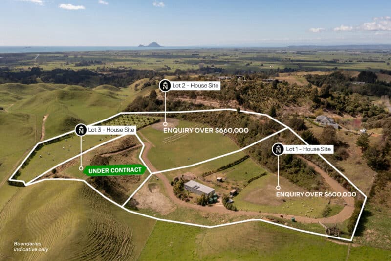 Your Vision Starts Here