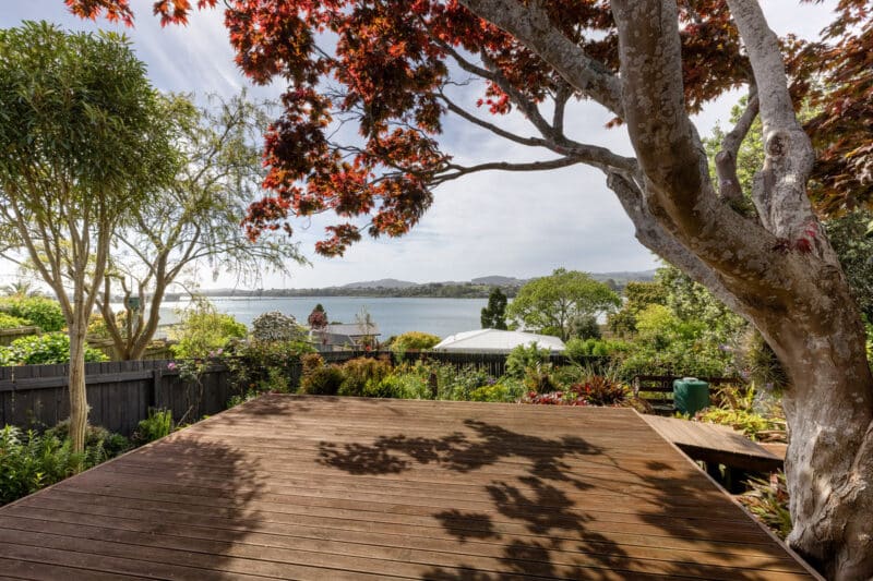 Room to Breathe, Space to Belong.