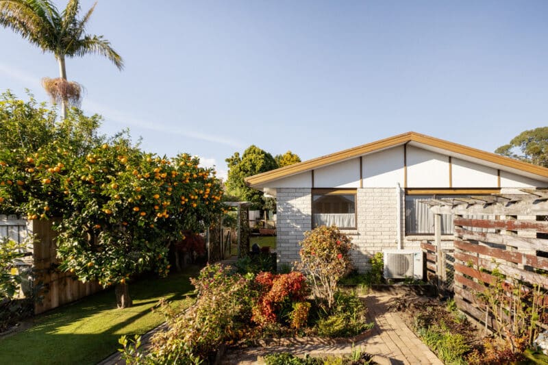 Quiet, Solid, and Full of Potential in the Heart of Maungatapu